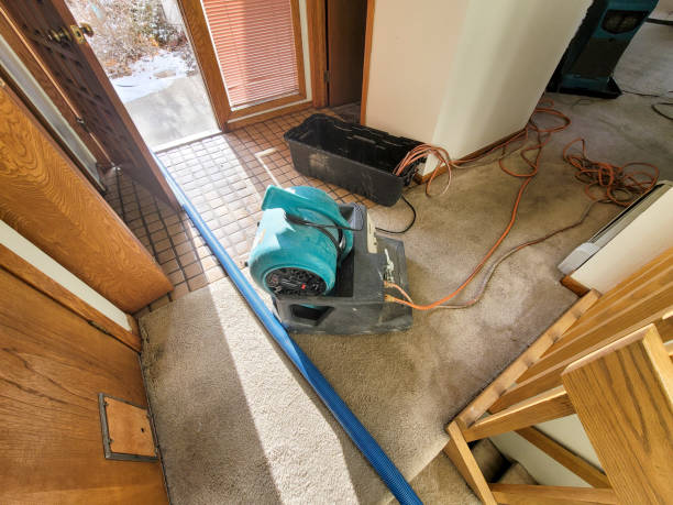 Best Professional water damage repair  in USA